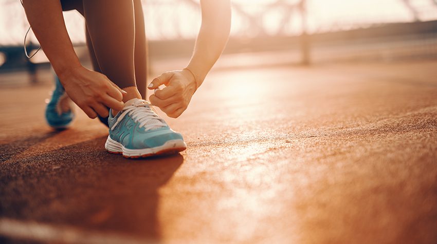 img_muscle_allie_ordi